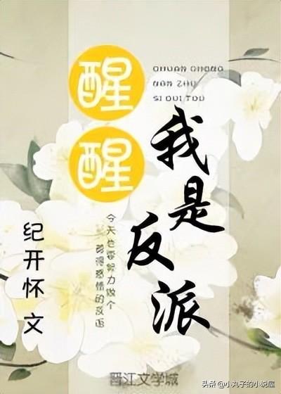 夫人她很暖很甜 小說（夫人她又甜又軟免費(fèi)閱讀）