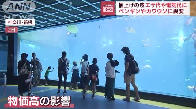 日生高級水族箱，日升水族箱廠家官網(wǎng)？