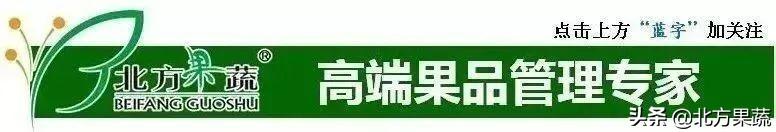 果樹苗批發(fā)基地三年苗各種苗大全價(jià)格，哪里有果樹苗批發(fā)基地？