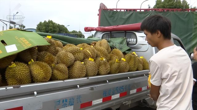 榴蓮批發(fā)市場進(jìn)貨渠道，泰國榴蓮批發(fā)市場進(jìn)貨渠道