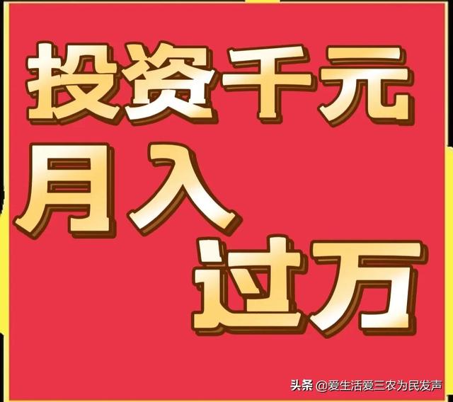 跑江湖地攤新產(chǎn)品，跑江湖地攤新產(chǎn)品怎么做