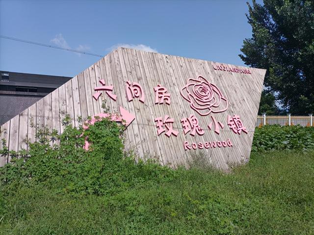 沈陽(yáng)花卉批發(fā)基地在哪里，沈陽(yáng)花卉批發(fā)基地在哪里??？