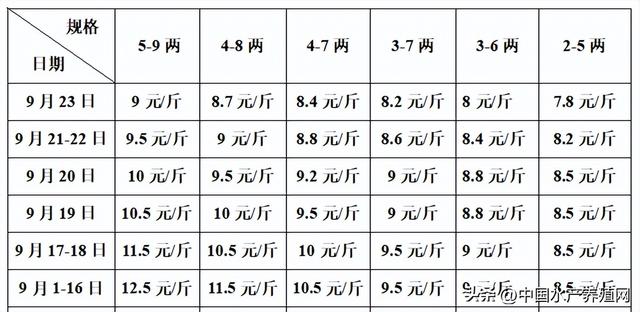 牛蛙批發(fā)價多少錢一只，牛蛙多少錢一斤市場價格？