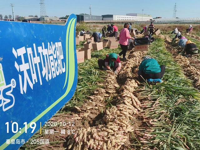 南寧肥料批發(fā)市場，南寧肥料廠家？