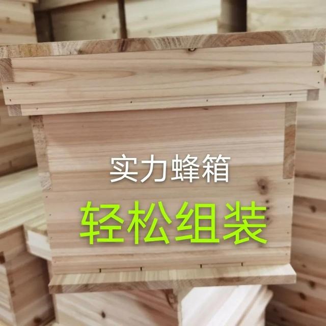 蜂箱怎么賣，哪里有蜂箱賣,多少錢一個(gè)？