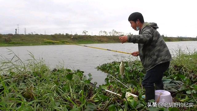 草花批發(fā)市場進貨渠道，北京批發(fā)水草市場？