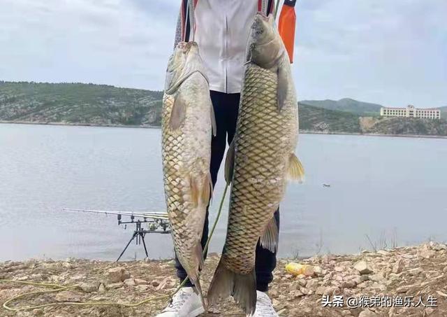 德州釣組釣法，德州釣組控餌手法？