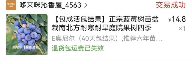 淘寶拼多多熱銷綠植設(shè)計貨源拿貨是真的嗎可信嗎，拼多多賣綠植？